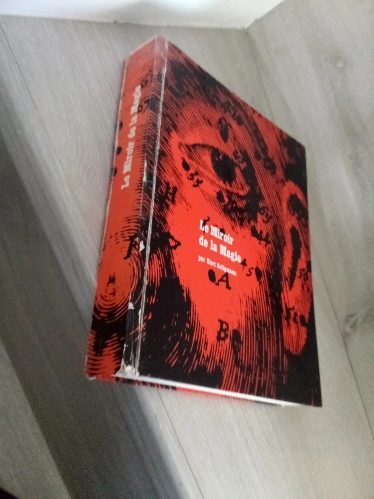 Livre Le miroir de la magie – photo 4